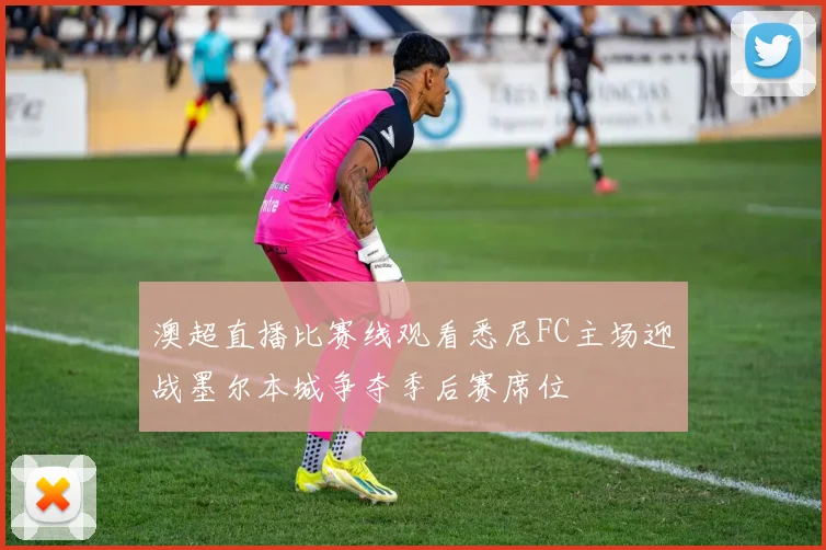 澳超直播比赛线观看悉尼FC主场迎战墨尔本城争夺季后赛席位